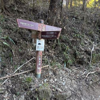 登山道を終了！あっという間でした😄