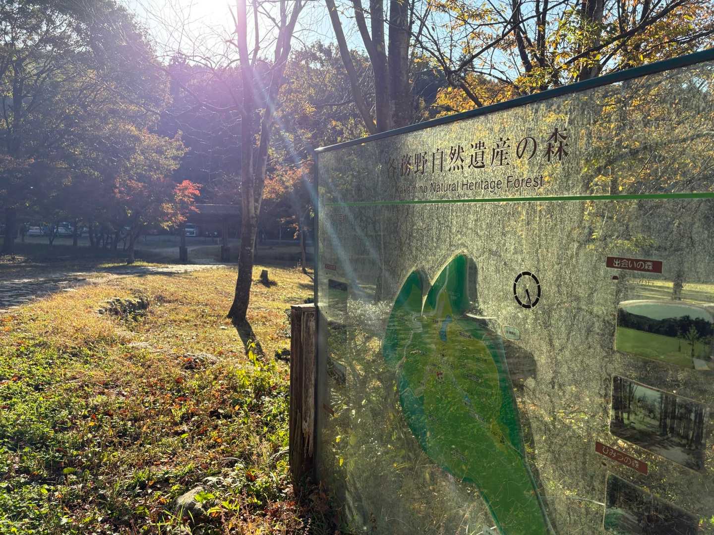 遺産の森からスタート！