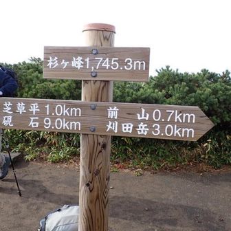 杉ヶ峰到着
