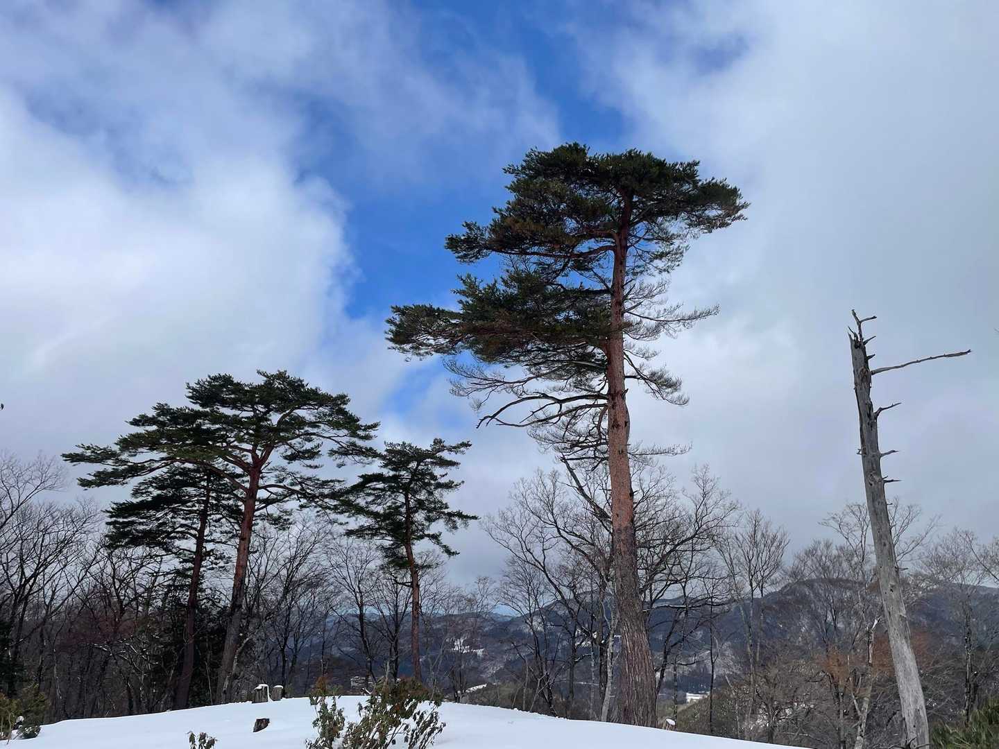 今日の一瞬の晴れ間