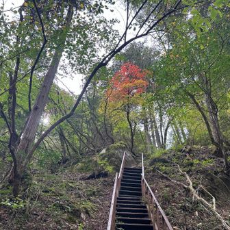 階段いっぱい💦げきのぼり〜😫

紅葉発見😳🍁✨