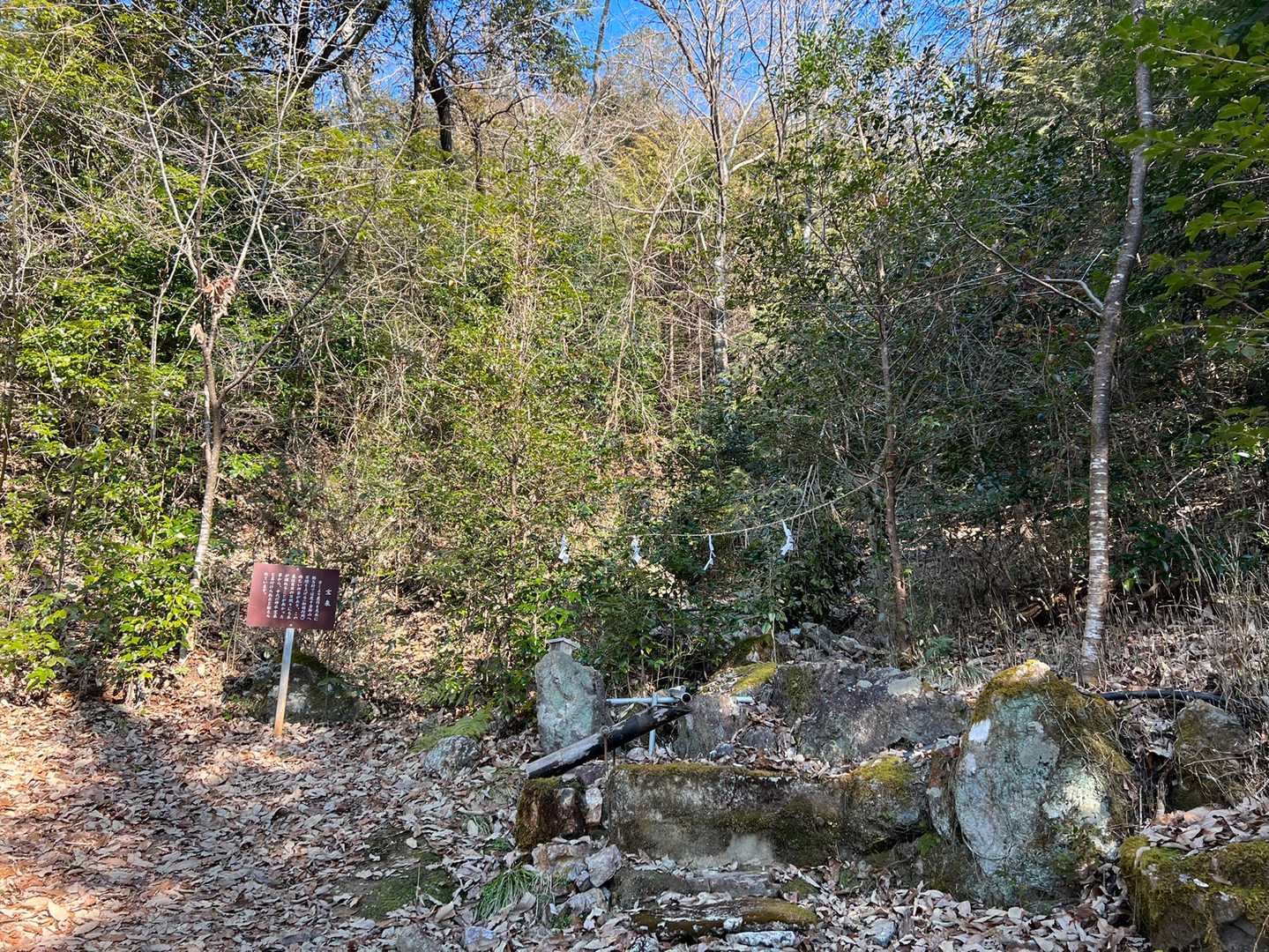 泉⁉️霊泉⁉️