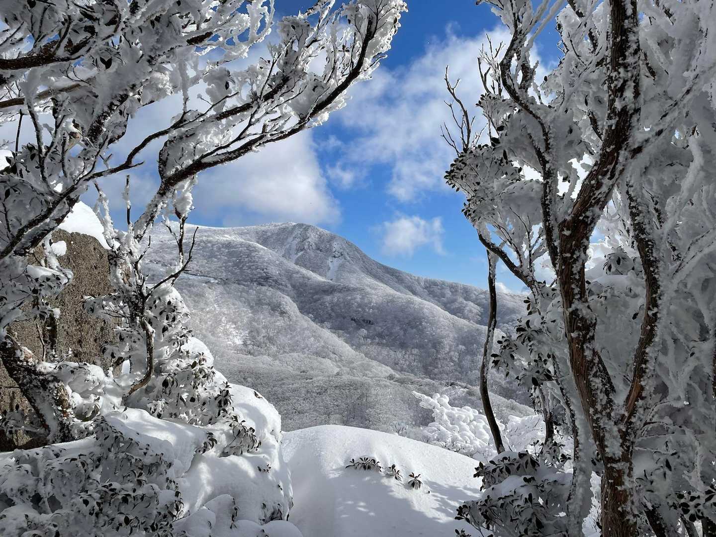 霧氷の窓から扇ヶ鼻を眺める