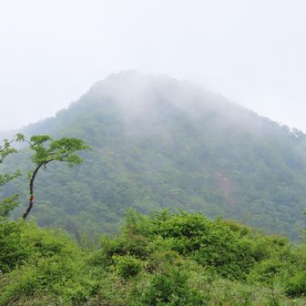 塔ノ岳