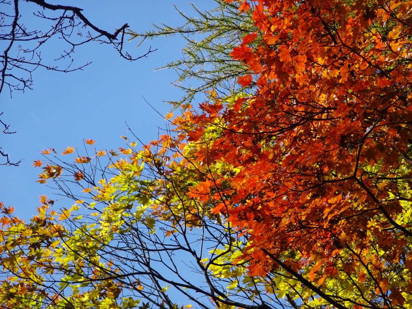 青空は凄い❗気分もあがる