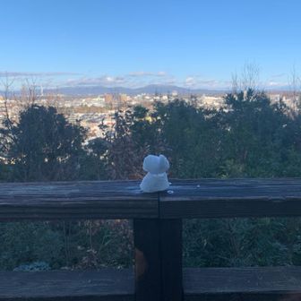 かわいい雪だるまが残ってました⛄