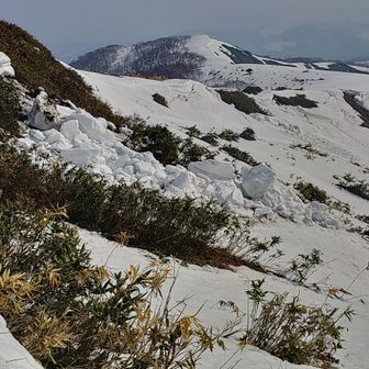 デブリ(崩落した雪)②