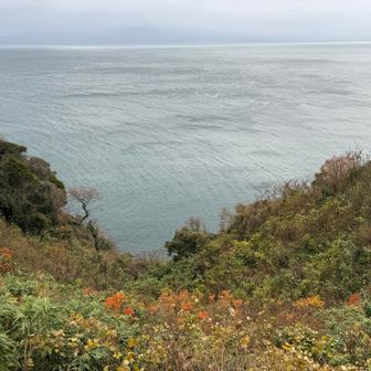 吸い込まれそう