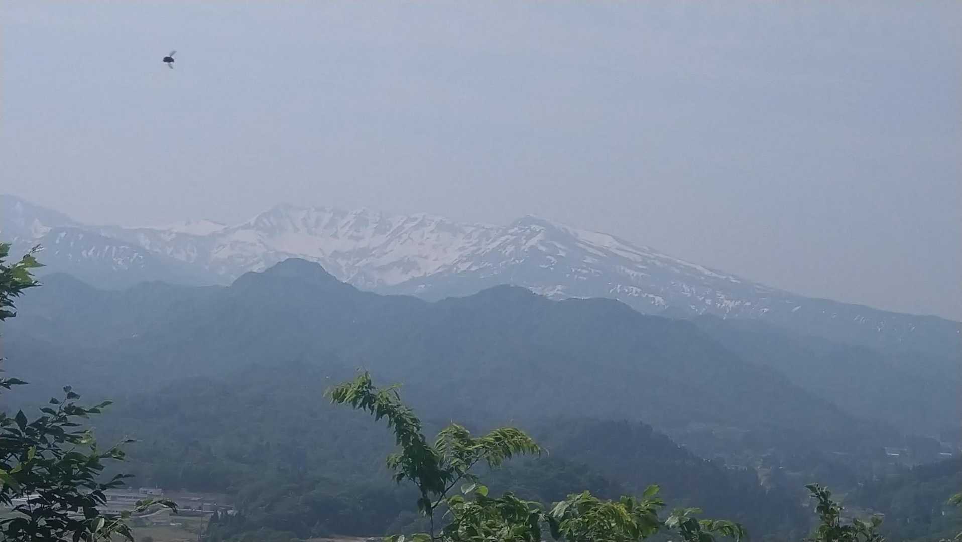 守門🗻