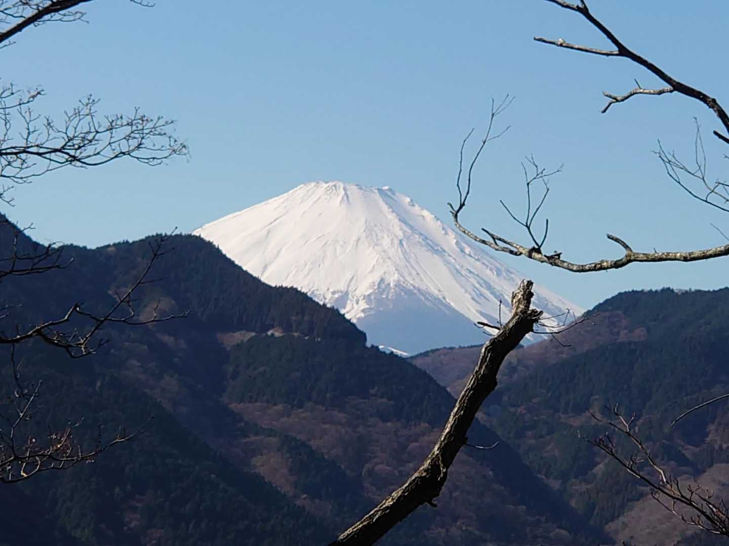富士山をチラチラ見ながら、帰りは走ります🏃
お腹減った〜😵