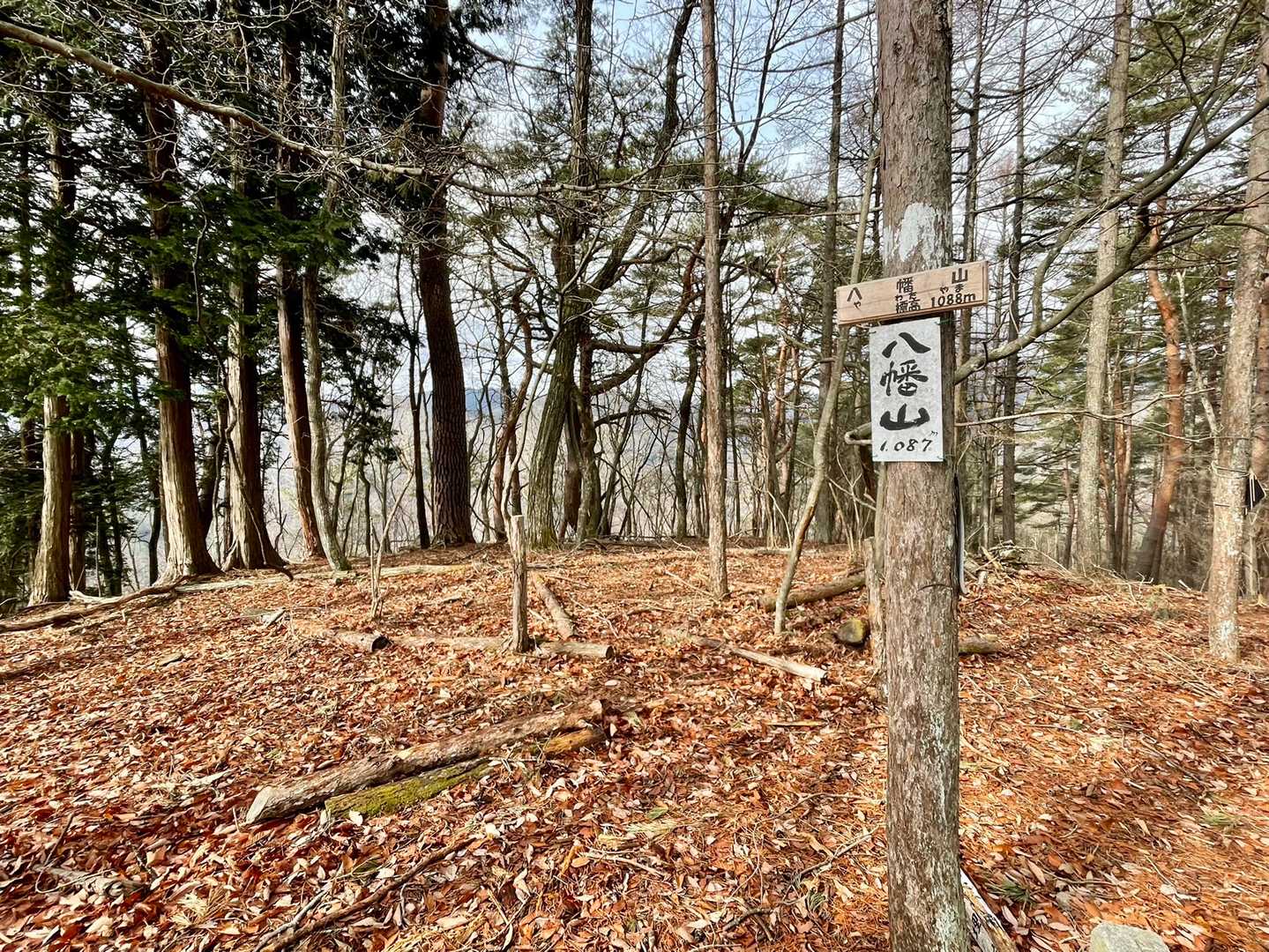 山頂到着〜！
ルートによっては手強い山
でもそれが甲斐百山の面白さ
