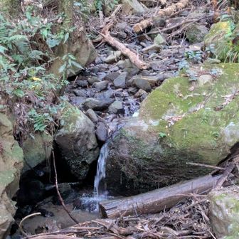 沢の音を心地良く聞きながら天の川コースを歩きます🔔
