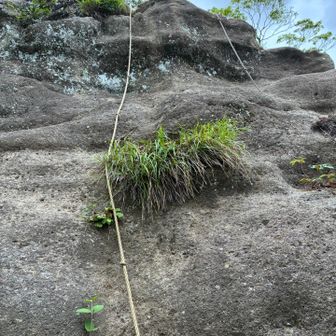 今日は裏から
山頂にアプローチ

真っ直ぐ垂れたロープがありますが
落ち着いて岩をよーく見ると
左右ジグザグに登れるようなステップ
足掛かりがあり
つまり直急登ではなく、割と安全に登れます
（急がば回れ）