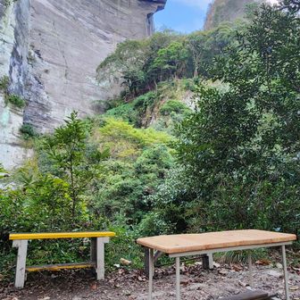 地獄のぞきはベンチに座り見上げた方が面白いと思うのは私だけだろうか。