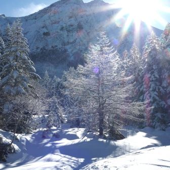 池崎並みの
イェーーーイ！！！！
行者小屋までずっとツボ。