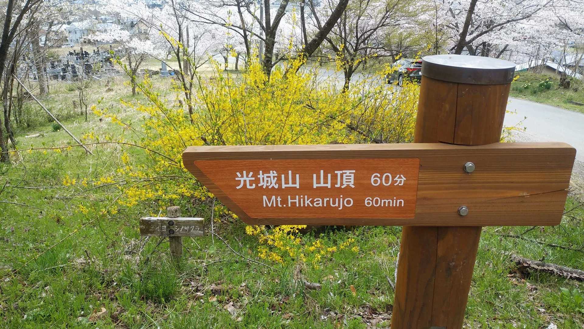 光城山登山口-光城山-烏帽子峰-長峰山 往復コースの写真