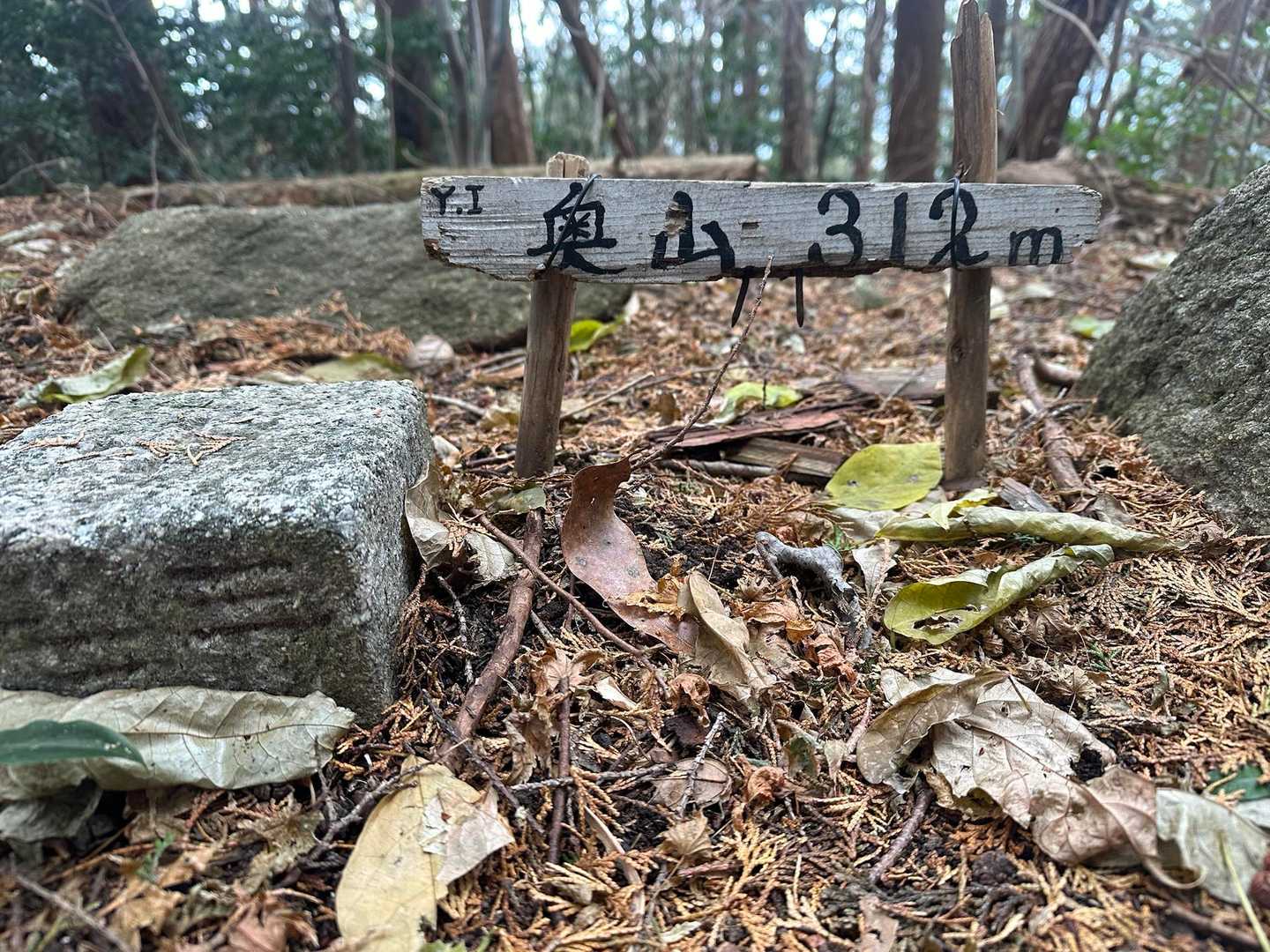 奥山 往復コースの写真