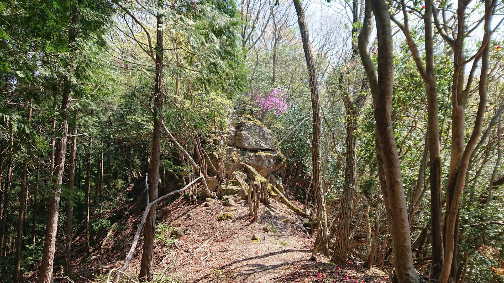 おしん岩