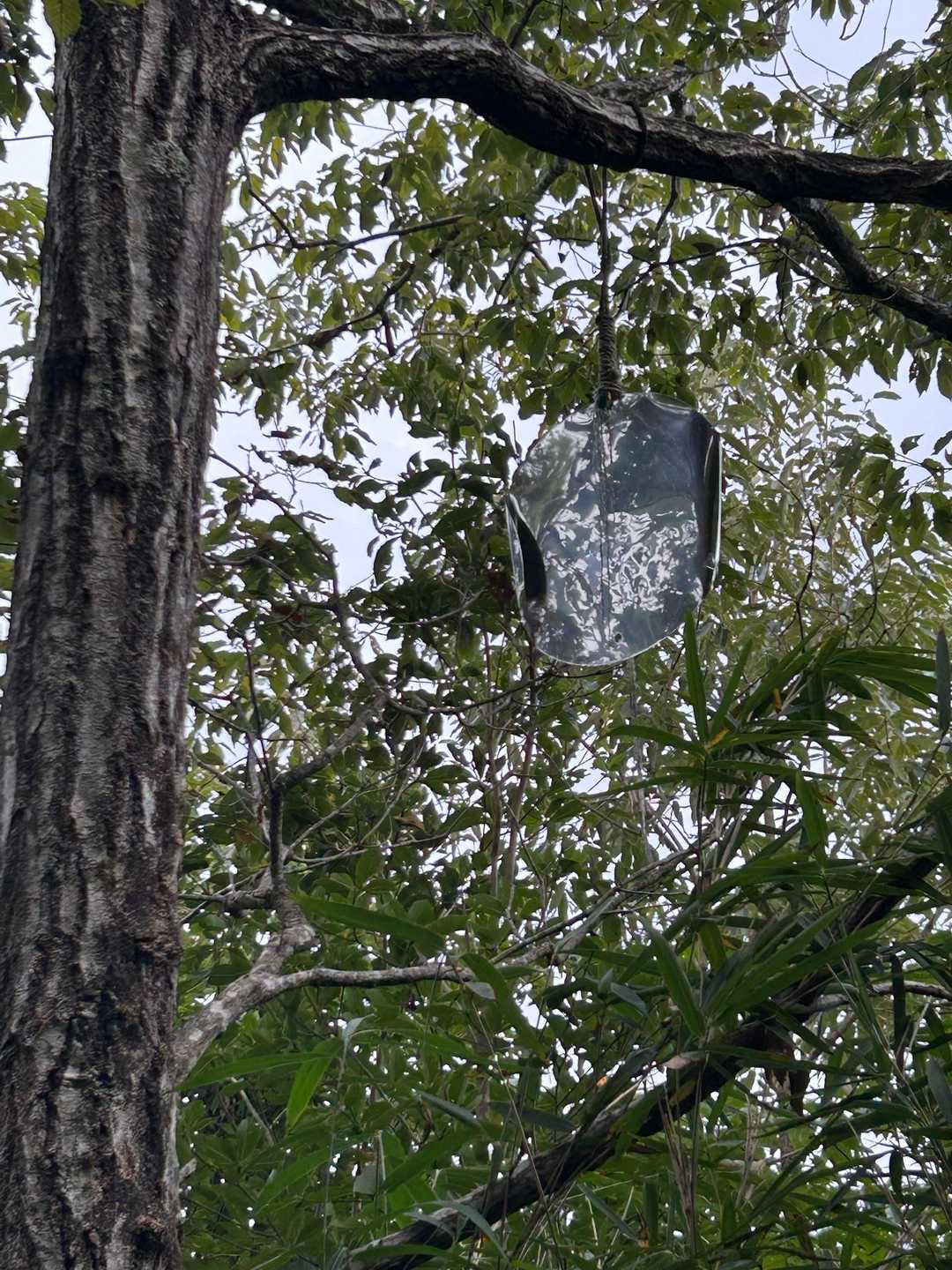 高い所に吊り下げられたミラー