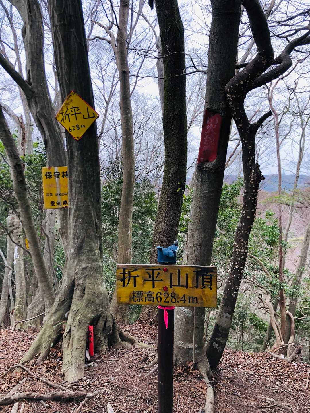 落ち葉もふもふ
細々の道をゆくと
折平山、山頂◎