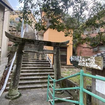 で...出た〜！
もう階段...お腹いっぱいよぉ〜😂
写真見るだけで膝の上の筋肉が疲れてきた笑