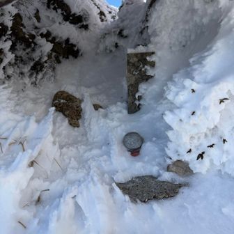 お顔だけ出てた