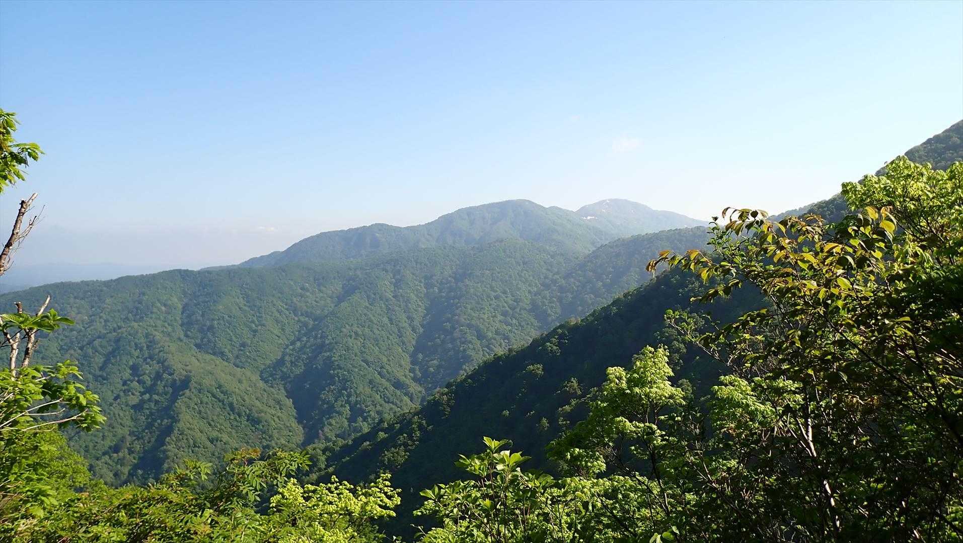 左手の山