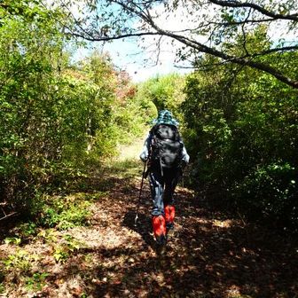 遊歩道に入るとすぐに展望台がある。