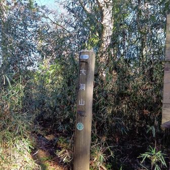 この後ろ、お花摘みに最適。