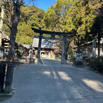 天気もいいし気温も寒すぎす走りやすい！