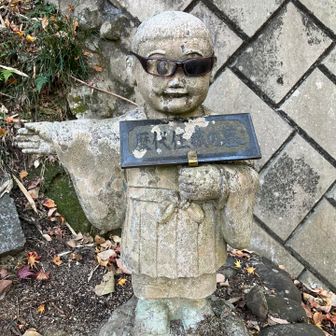 君もお久しぶり🖐️