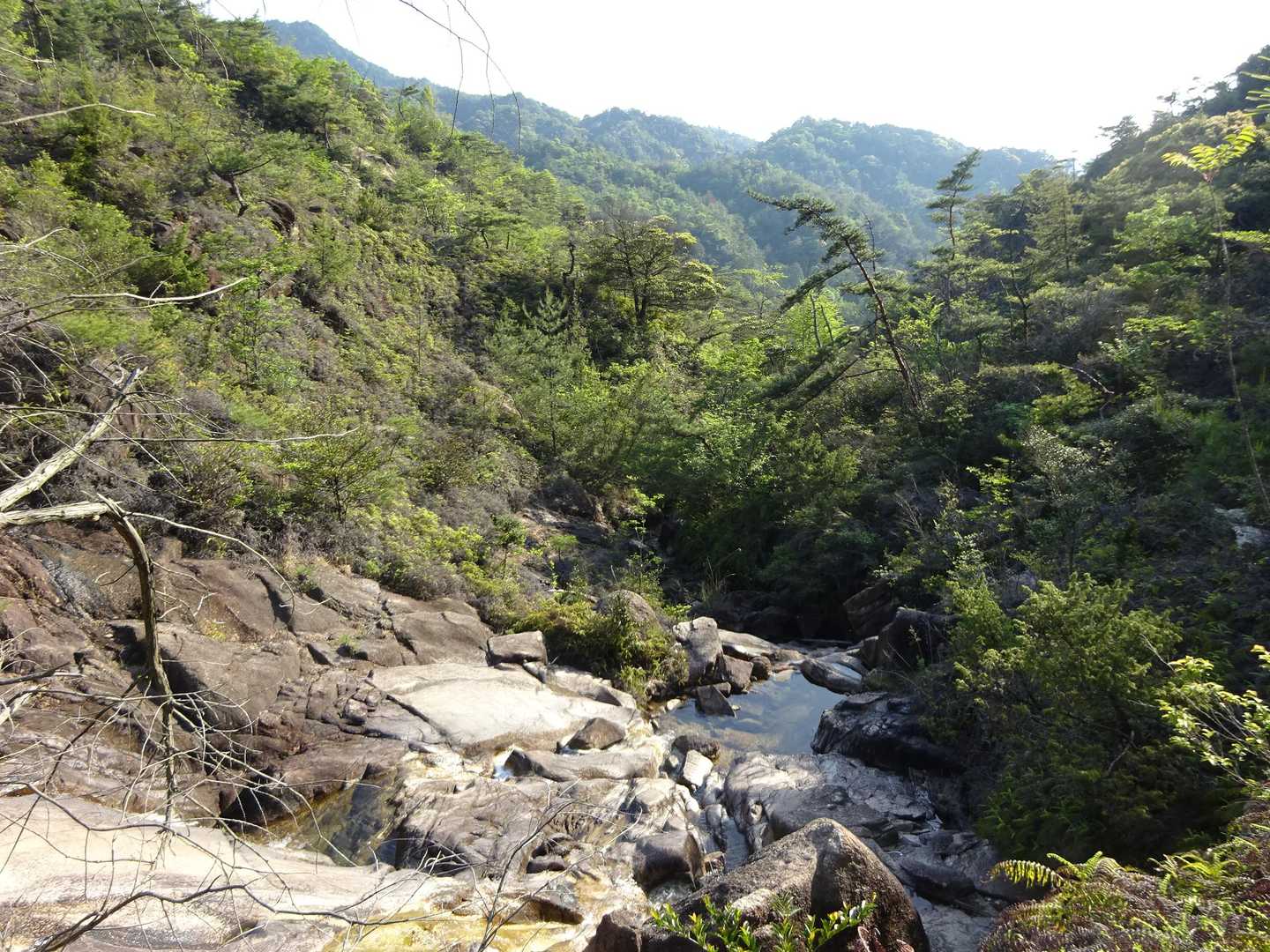 堂山 周回コースの写真
