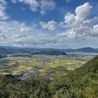 この見晴らしは最高