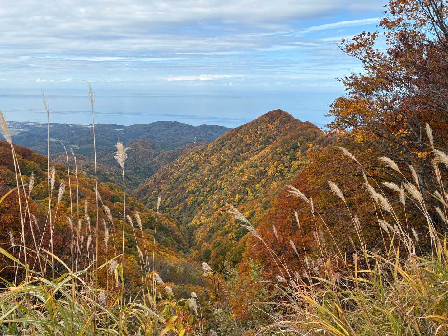 米山（下牧ベース993）＜下牧登山コース＞の写真