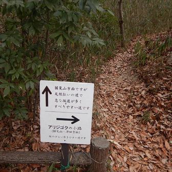 新サンドイッチ山から下りてきました