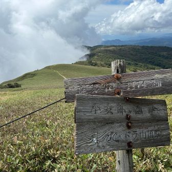 蓬莱山到着⛰️