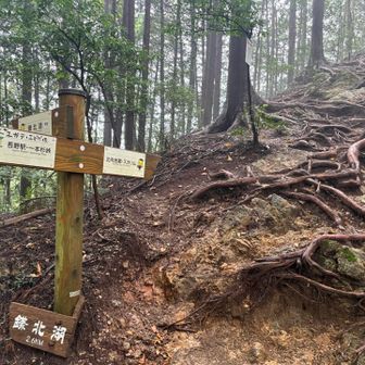 本日最大の難所😅を超え鎌北湖方面へ
ここから先はのんびりロードでした