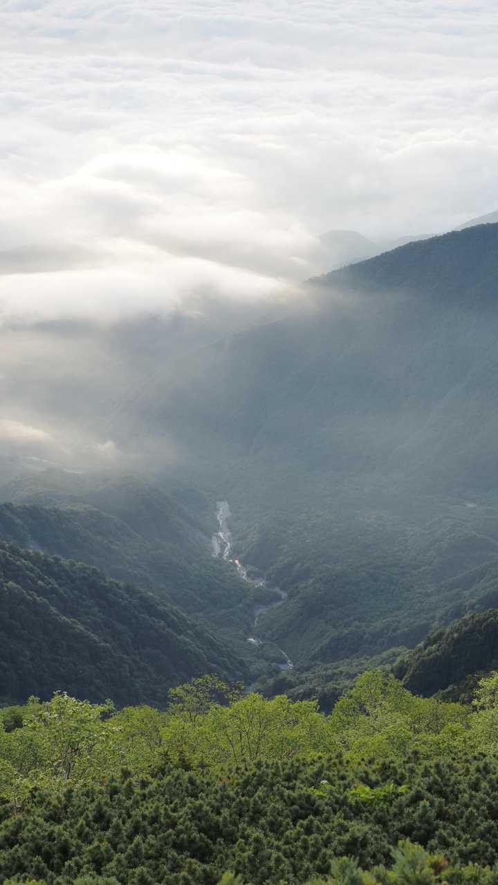 鳳凰三山縦走（薬師岳・観音岳・地蔵岳）夜叉神峠ピストン の写真 32