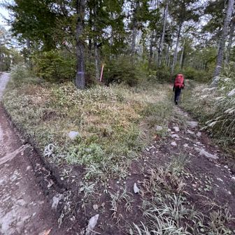 林道に出てまた登山道へ