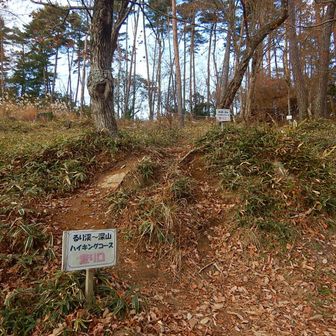 下りてきました