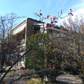 花と緑のまち推進センター、まだ動きがない。