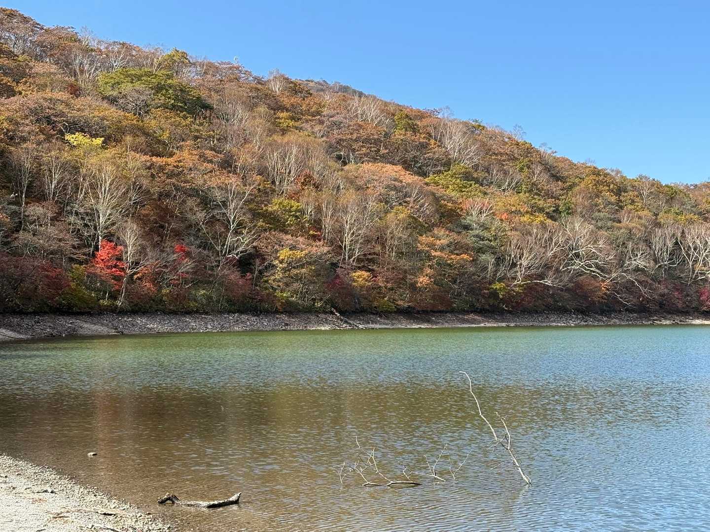 長七郎-地蔵岳 周遊コースの写真