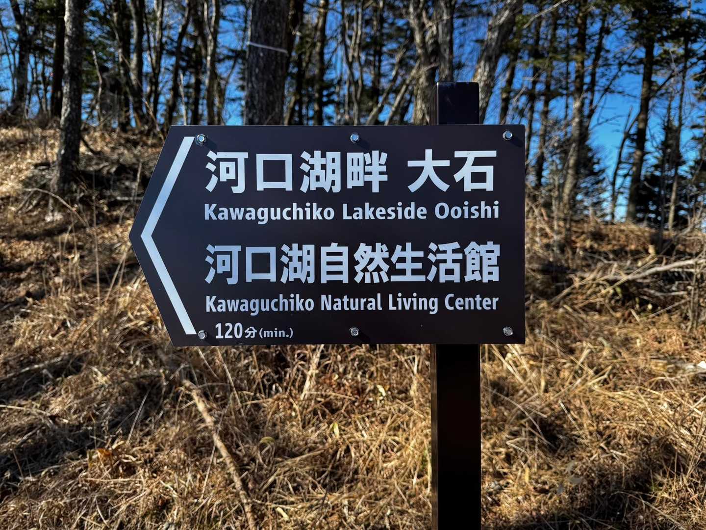 三ツ峠入口-旧御坂峠-コブ岩ノ頭-黒岳-すずらん峠-破風山 縦走コースの写真