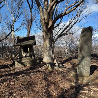 山頂の祠
ここのくだりで転んでしまい、脹脛を強く攣ってしまう💧唐松山に向かうも結局リタイア。
不摂生が祟りました😅