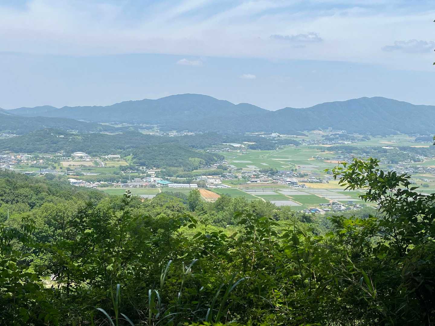 こっちのコースの方がよく見えるな✨