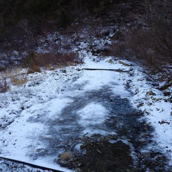 ここからスケートリンク⛸️