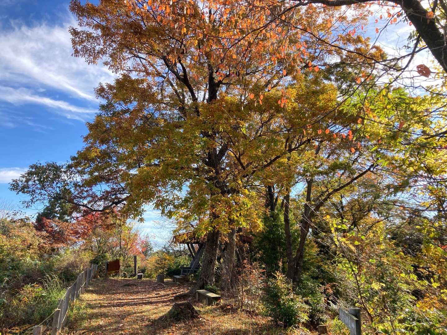 天狗山のベンチでひと休み