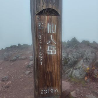 今日の折り返地点になりました仙人岳標記柱‼️