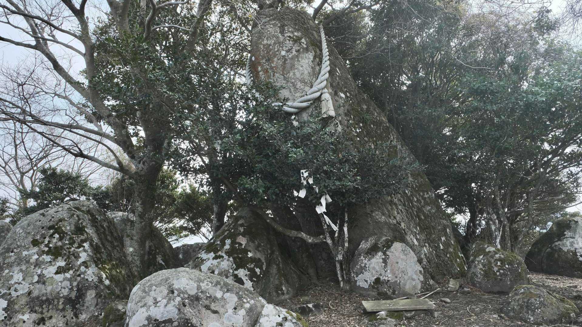 猪群山常盤登山口-猪群山-ストーンサークル 往復コースの写真