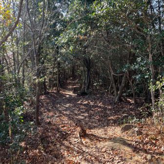 では下って行きます。ここから右膝が痛いことに気づく。